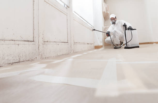 24/7 Emergency Mold Remediation experts in Milton, GA